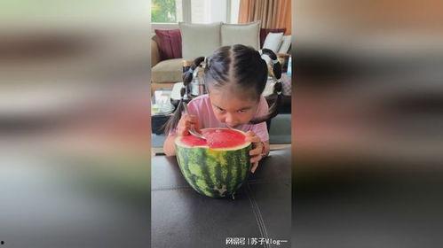 写作业给作业吃瓜,揭秘作业背后的趣味与智慧