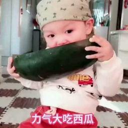 果冻高迪吃瓜,揭秘娱乐圈幕后故事