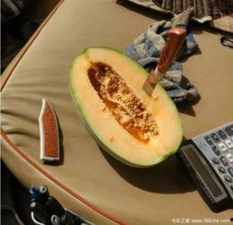 吃瓜看我作品,揭秘我的创作世界