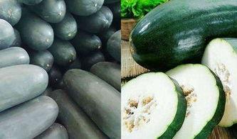 玄中记吃瓜,揭秘神秘仙果，吃瓜者的奇幻之旅